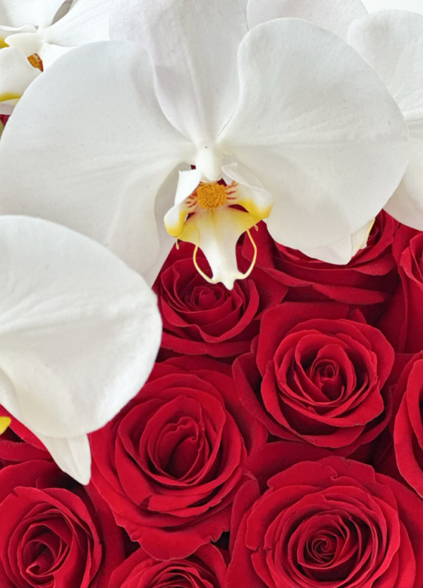 Phalaenopsis orchids and red roses in a bag box.