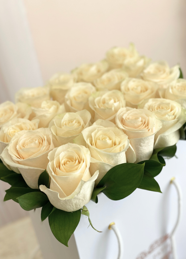 Ivory roses neatly arranged in a flower bag.